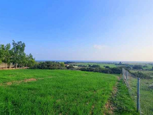 The price of agricultural land in Northern Cyprus