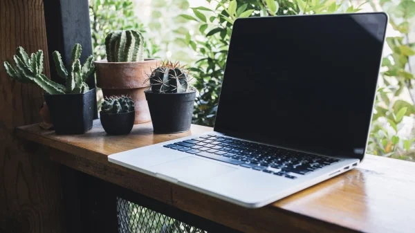 نکات نصب آفلاین ویندوز 11 آفلاین