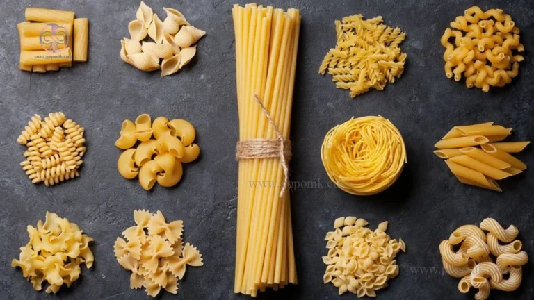 راهنمای انتخاب مواد اولیه مناسب برای تولید پاستا و ماکارونی